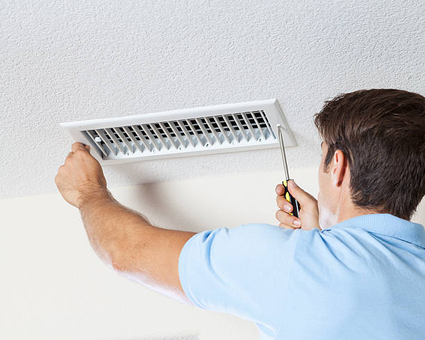 Best Emergency Mold Remediation  in Grandview Heights, OH